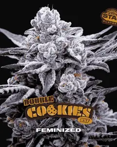 Double Cookies