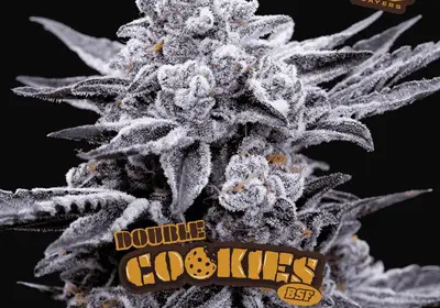Double Cookies