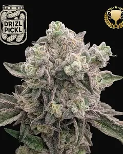 Drizl Pickl