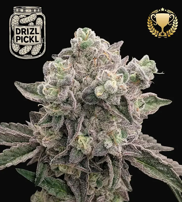 Drizl Pickl