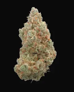 Everglades OG Auto