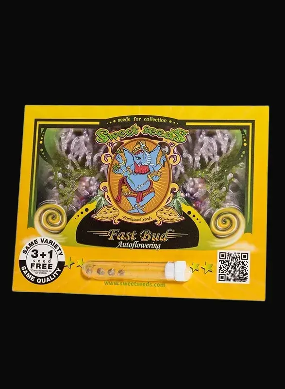 Fast Bud Auto — zdjęcie 2