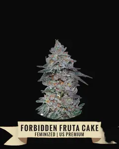 Forbidden Fruta Cake