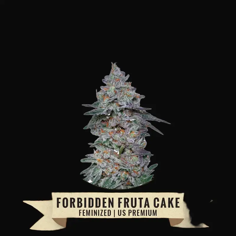 Forbidden Fruta Cake