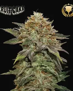 Fruit Cake