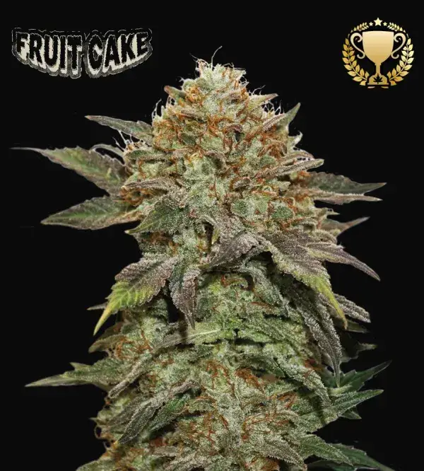 Fruit Cake