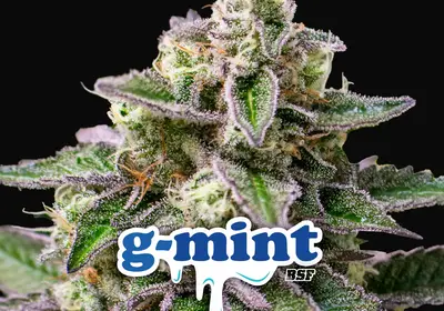 G-Mint