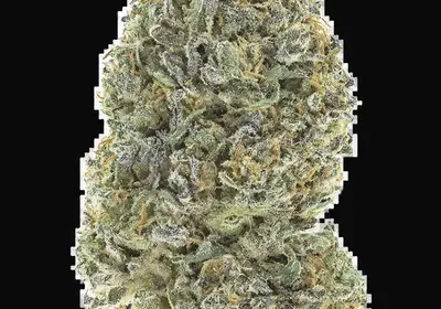 Garlic Mint Sherbet