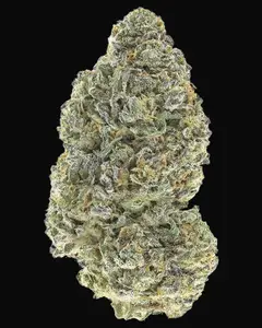 Garlic Mint Sherbet