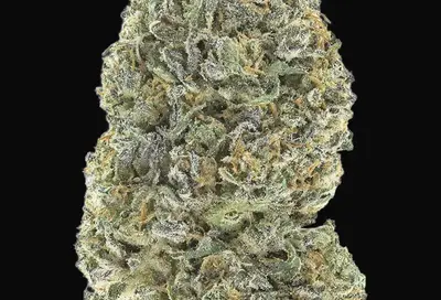Garlic Mint Sherbet