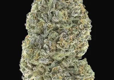 Garlic Mint Sherbet