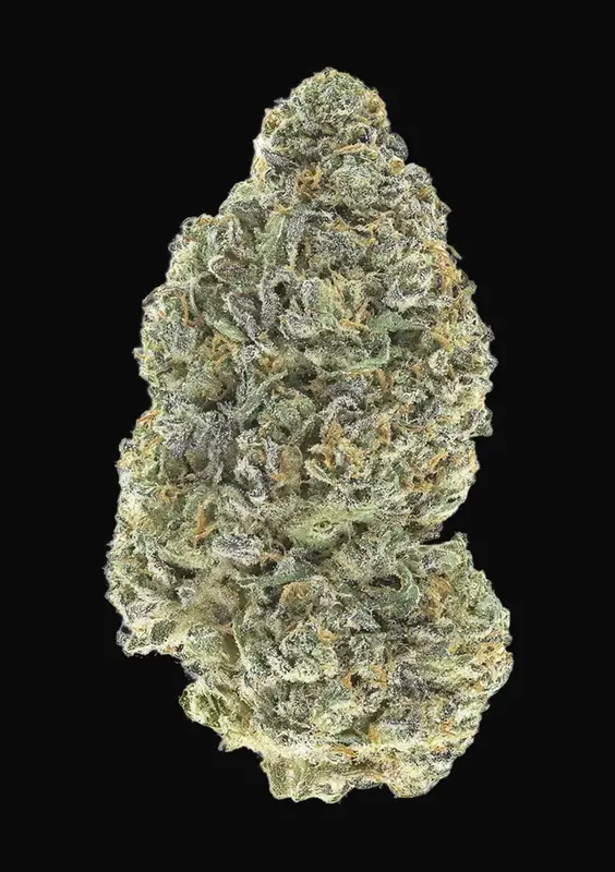 Garlic Mint Sherbet