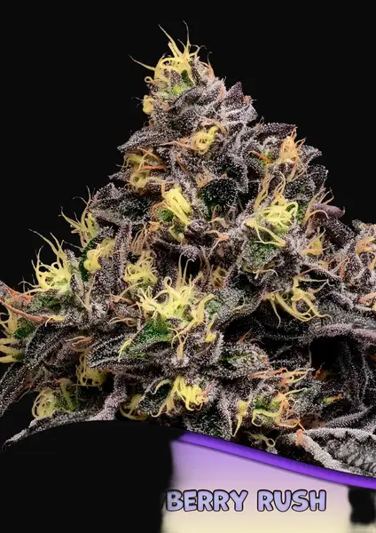 Glowberry Rush