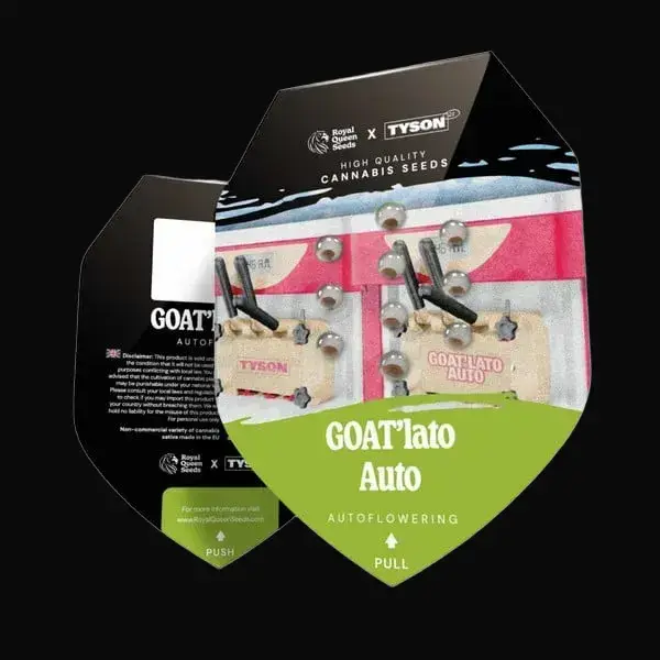 GOAT'lato auto — zdjęcie 5