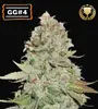 Gorilla Glue