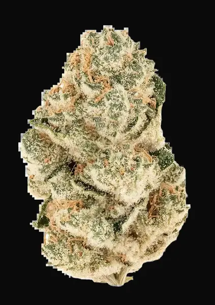 Gorilla Melon