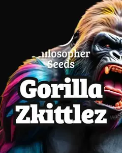 Gorilla Zkittlez