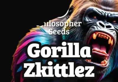 Gorilla Zkittlez