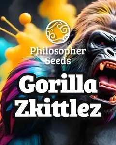 Gorilla Zkittlez