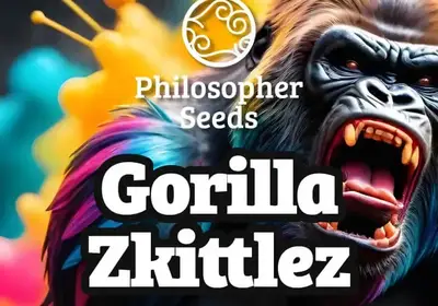 Gorilla Zkittlez
