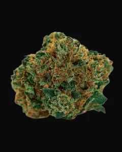 Grapefruit