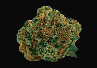 Grapefruit