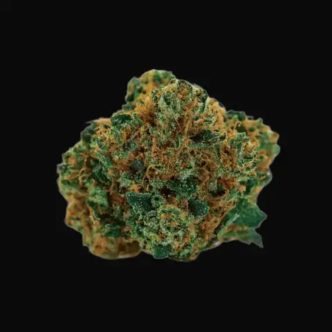 Grapefruit