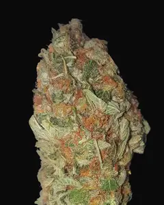 Green Candy