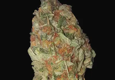 Green Candy