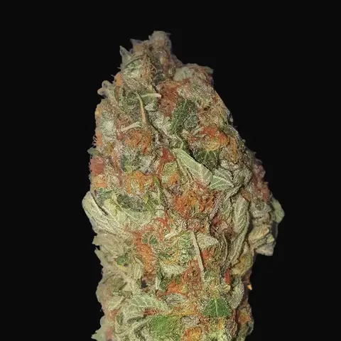 Green Candy