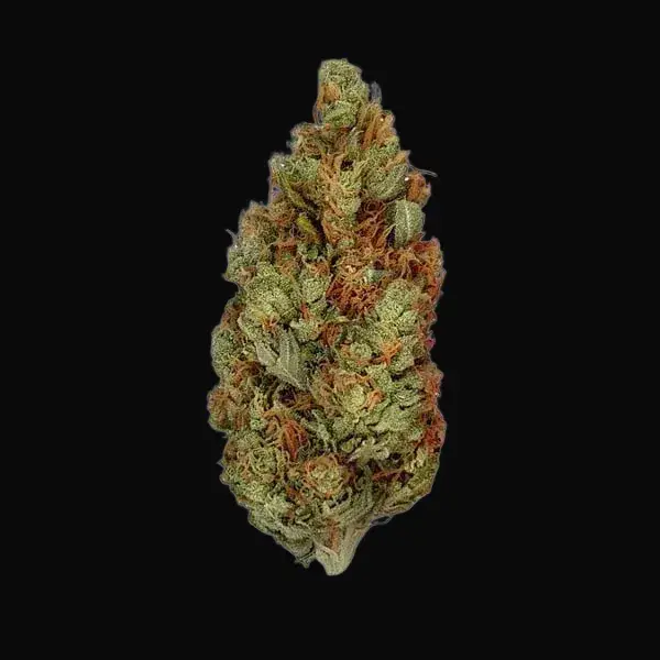 Green Gelato — zdjęcie 9