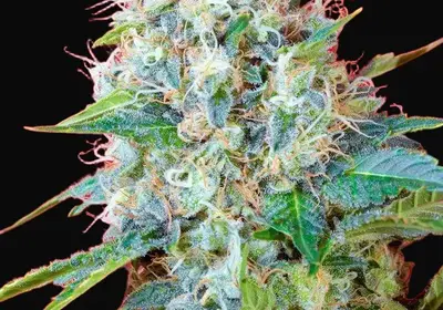 Green Poison