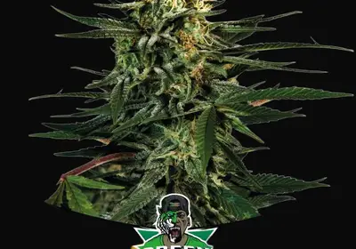 Green Tiger