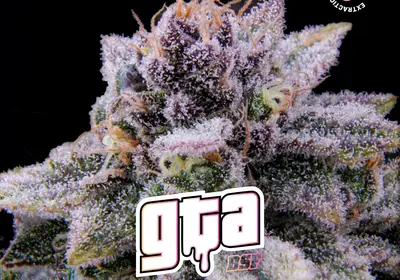 GTA