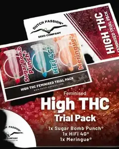 High THC Trial Pack