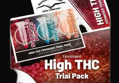 High THC Trial Pack