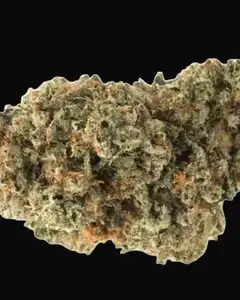 Holy Grail Kush