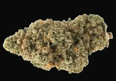 Holy Grail Kush