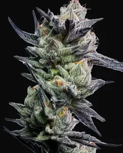 Huckleberry Punch