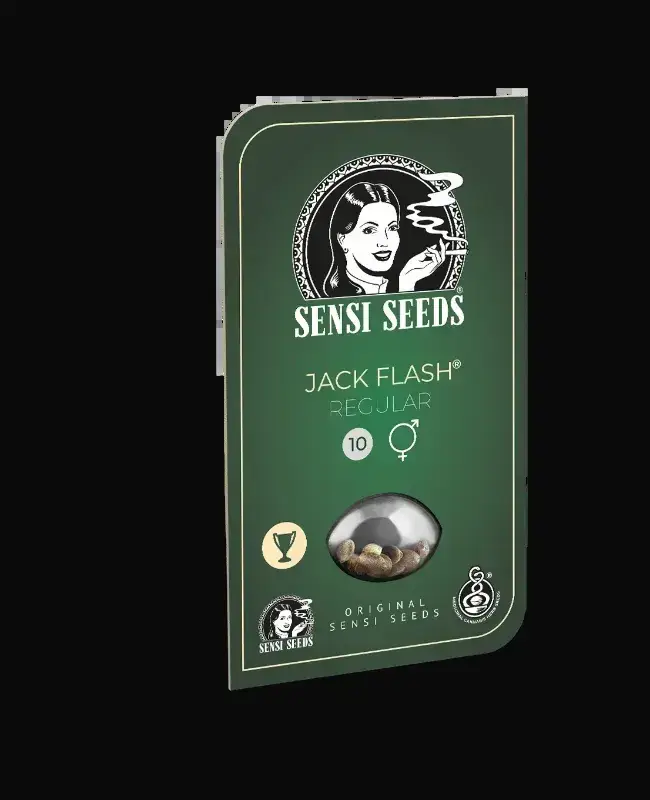 Jack Flash — zdjęcie 5