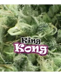 King Kong