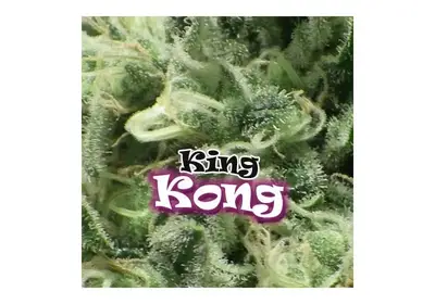 King Kong
