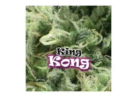 King Kong