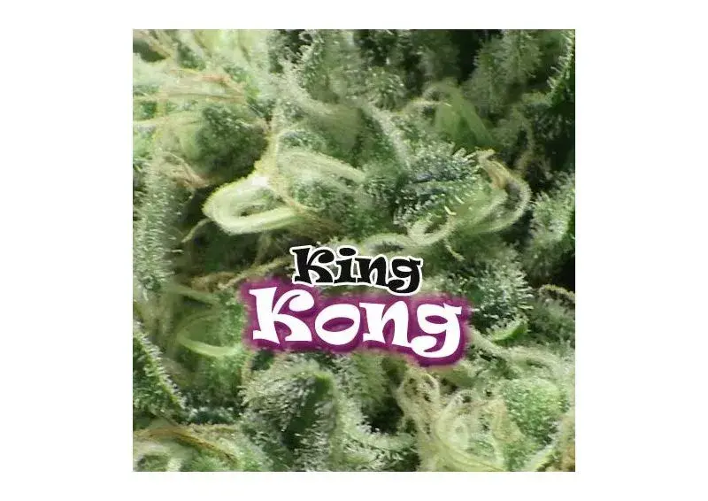 King Kong