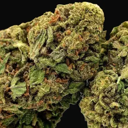 Kosher Haze Regular — zdjęcie 3