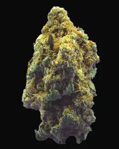 TB Kush