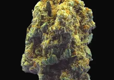 TB Kush