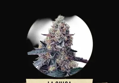 La Chica