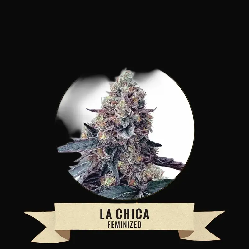 La Chica