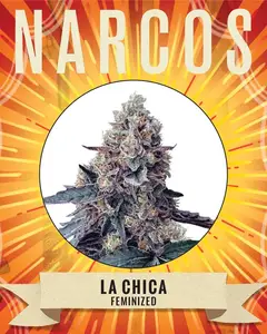 La Chica